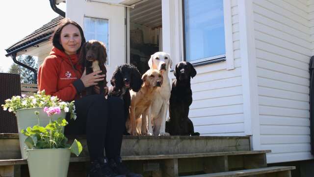 Sandra Jonsson har bestämt sig för att satsa helhjärtat på hundar, och startar nu ett hundpensionat samt ett mobilt hunddagis.