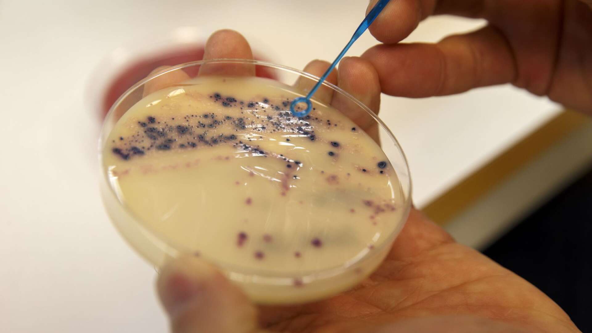 Vi behöver fortsätta utveckla odlingar och PCR-tester för snabbare diagnostisering, för att på så vis kunna sätta in rätt antibiotika redan från början, skriver Per-Ola Olsson.