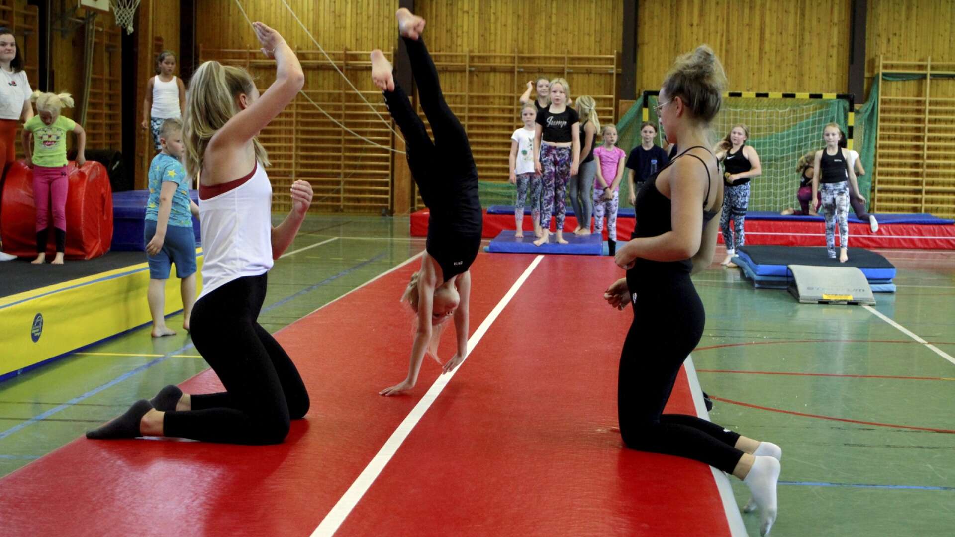 Gymnastiksällskapet tränar i Djurgårdshallen. I specialhallen blir det 100 kronor dyrare per timme.