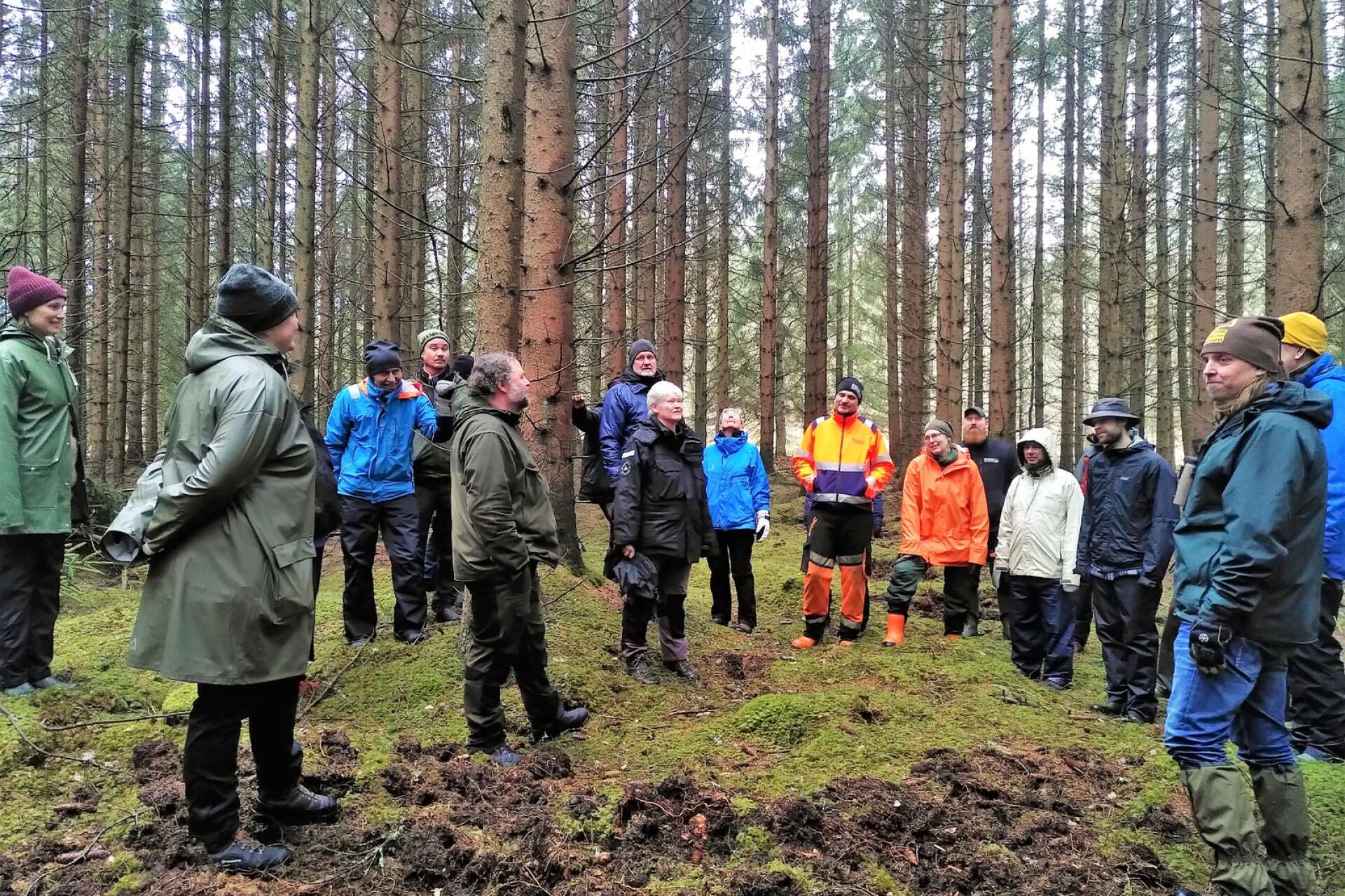 Deltagarna i Naturskyddsföreningens skogsdag samlades på Missveden för att diskutera skogsbruk.