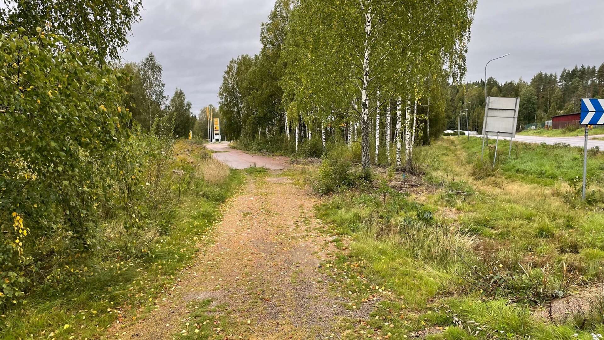 Om två, tre månader kanske Arvikaborna kan få reda på mer vad det ska bli i den här skogsdungen mellan riksväg 61 och Långvaksvägen, enligt exploatören. 