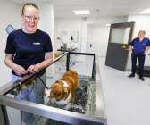 Evidensia djursjukhus har även en stor rehabiliteringsavdelning. Här visar hunden Eka upp löpbandet, som kan fyllas med vatten, som används i rehabiliteringssyfte. Djursjukskötaren och fysioterapeuten, och Ekas matte, Camilla Ekström står bredvid. 