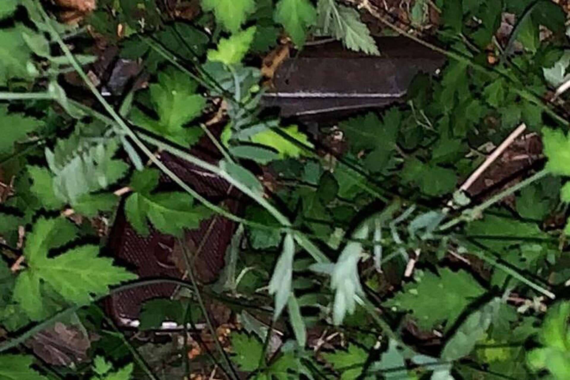 Vapnet hittades slängt i en buske på Rud - i närheten av platsen där 19-åringen greps.