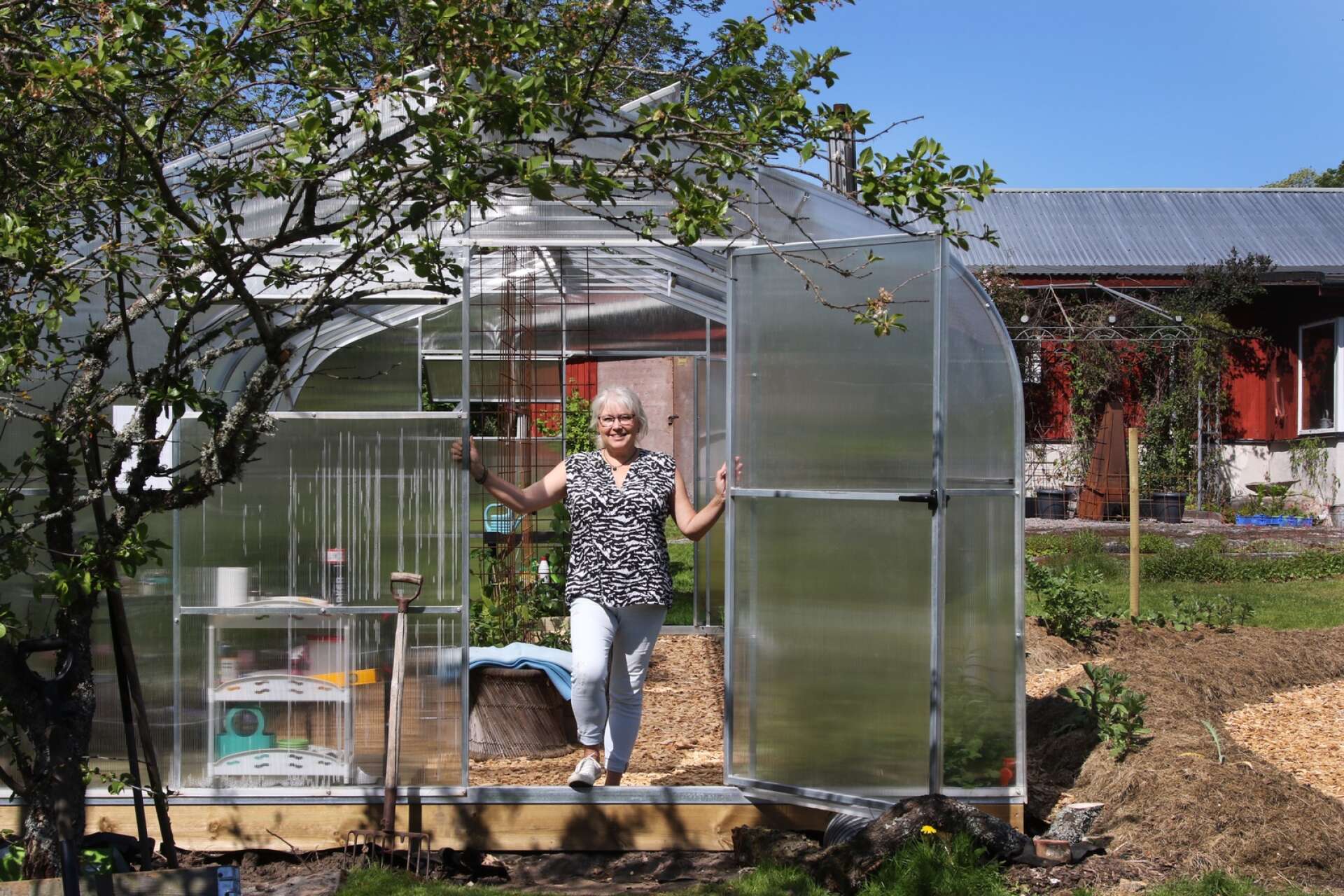 Susan är mycket stolt över sitt växthus på 32 kvadrat.