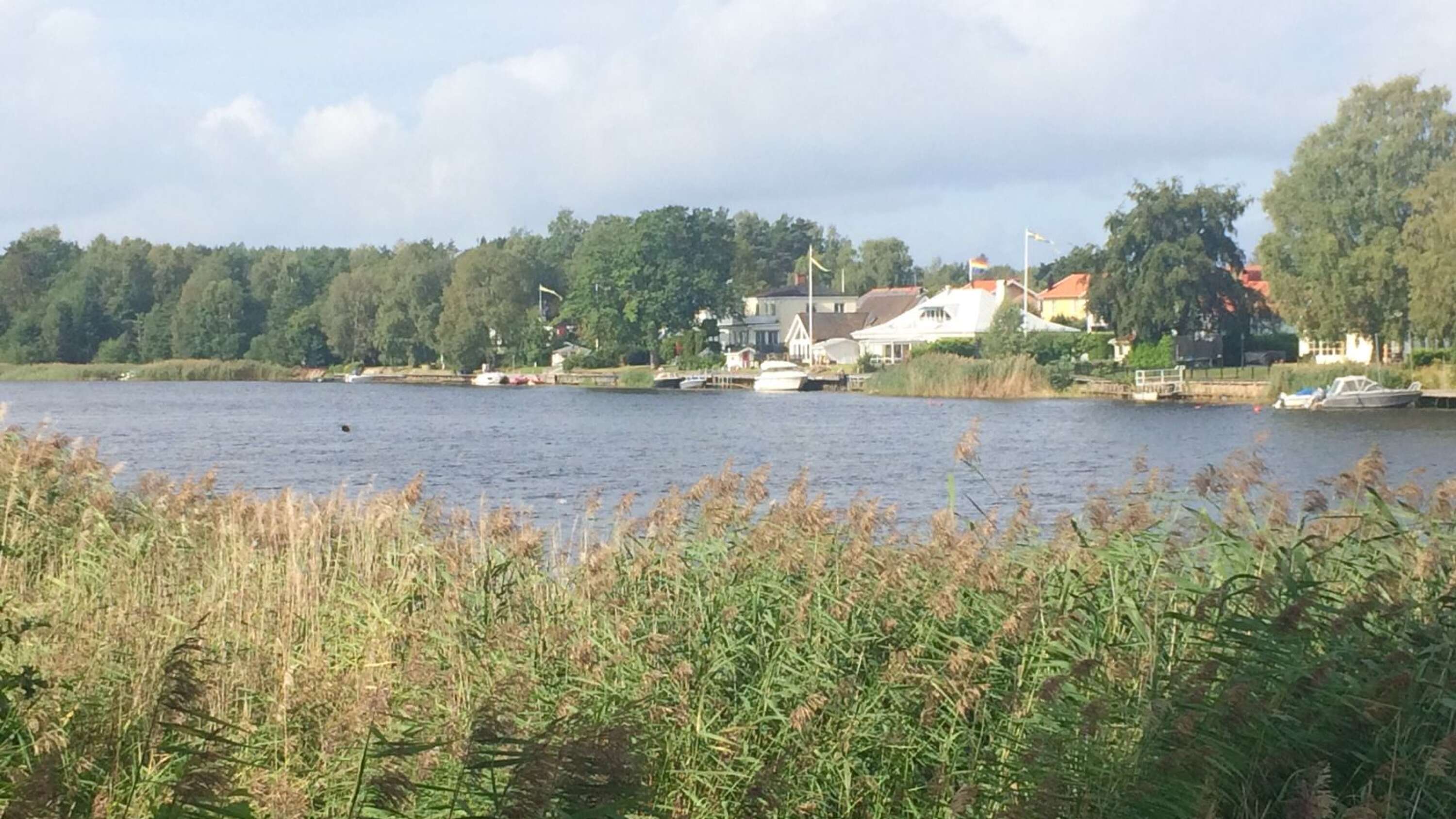 Sommarrobor är besvikna hur kommunen hanterat bryggor och vass i Klarälven.