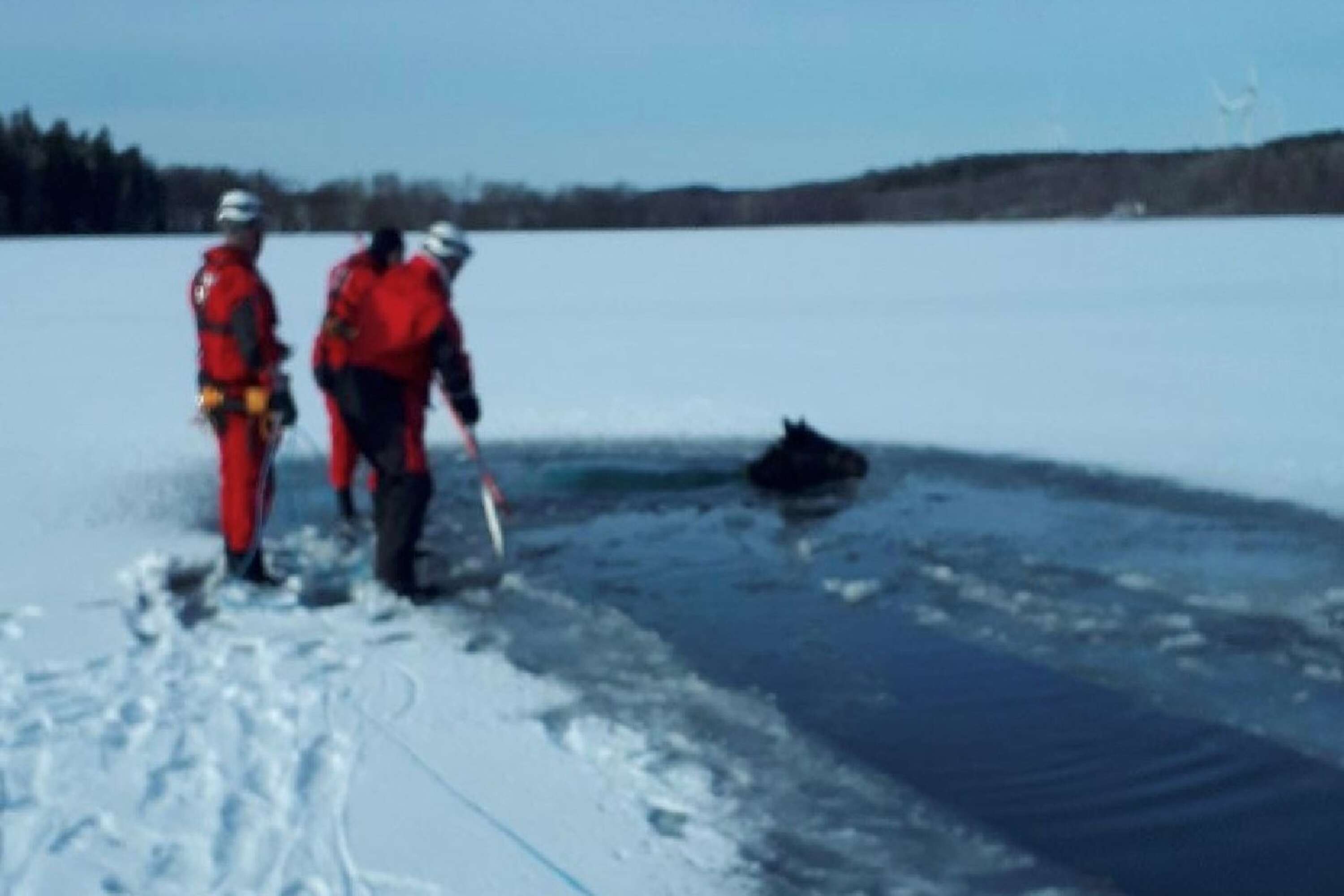 Den travhäst som gick genom isen på Furusjön vid halv tre-tiden på fredagseftermiddagen har nu räddats. Räddningstjänstens personal högg upp en ränna i isen så att hästen kunde ta sig iland själv.