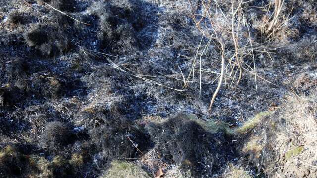 En mindre gräsbrand på en villatomt i Billingsfors släcktes under onsdagseftermiddagen. Det är dock inte den här gräsbranden./ARKIVBILD