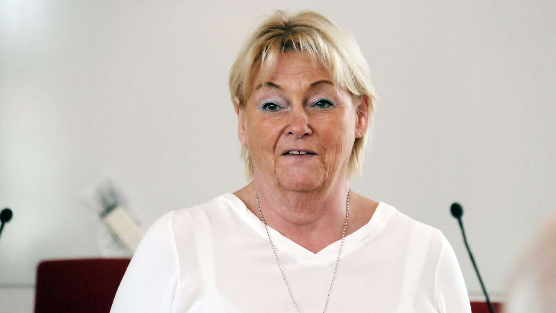Britt Bohlin har valts in i Dalslands litteraturförenings styrelse.