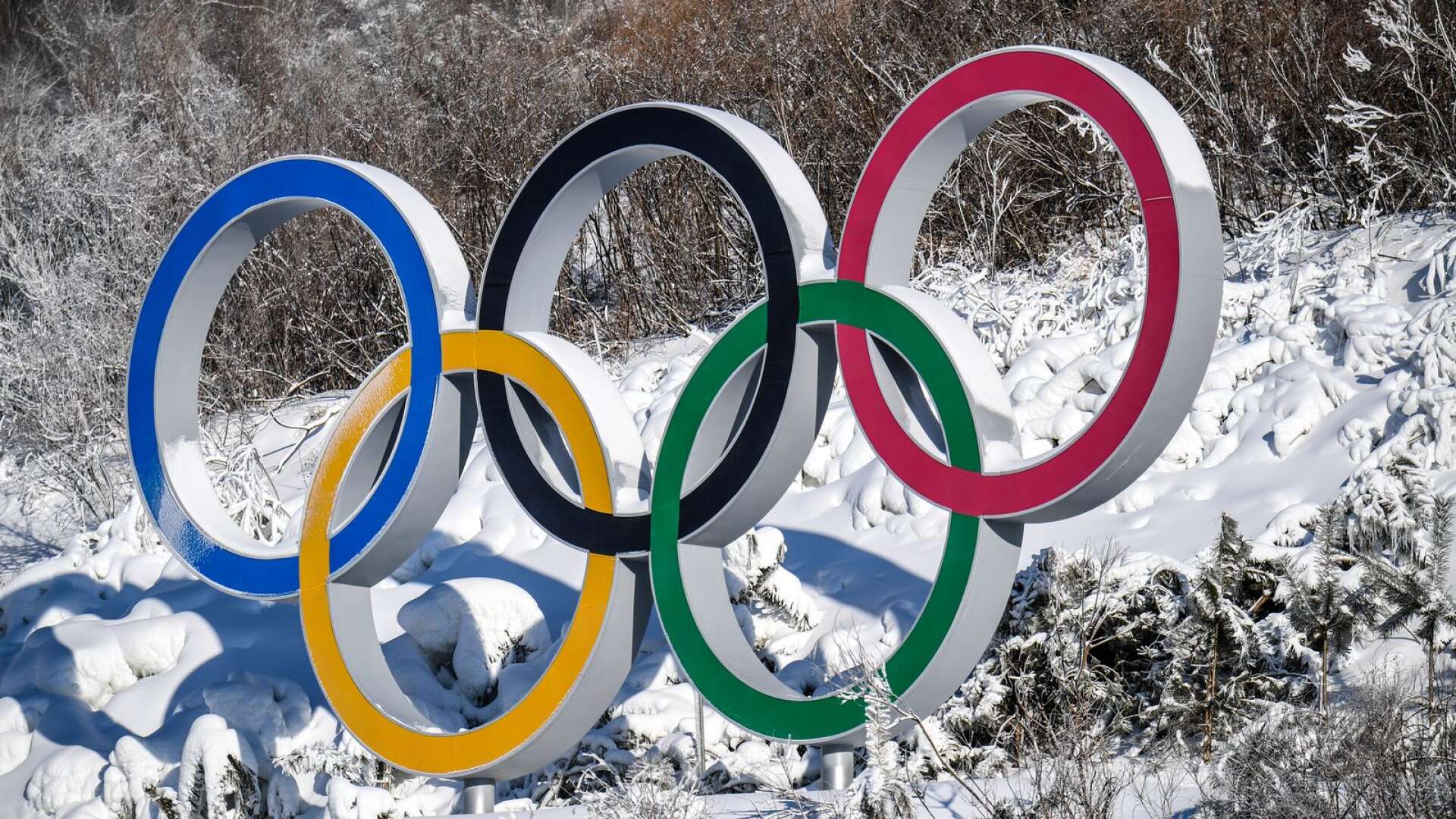  Regeringen har gett grönt ljus för den svenska ansökan att arrangera vinter-OS. 