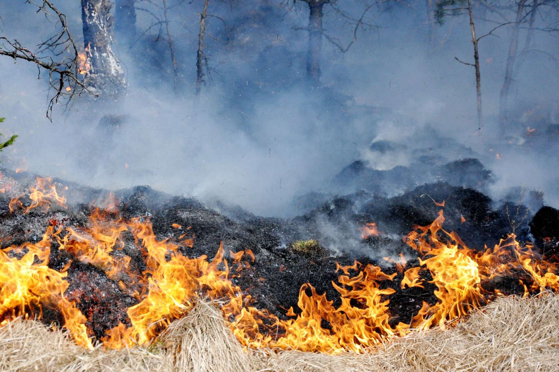 Bränder i terrängen tar sig snabbt i fjolårsgräset i vårvärmen.