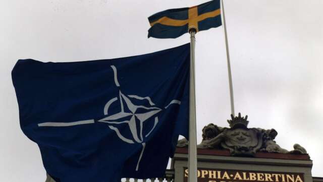 ”Det bör finnas en speciell nordisk dimension inom ramen för de nordiska ländernas medlemskap i Nato”, skriver Karlis Neretnieks, generalmajor, tidigare rektor för Försvarshögskolan.