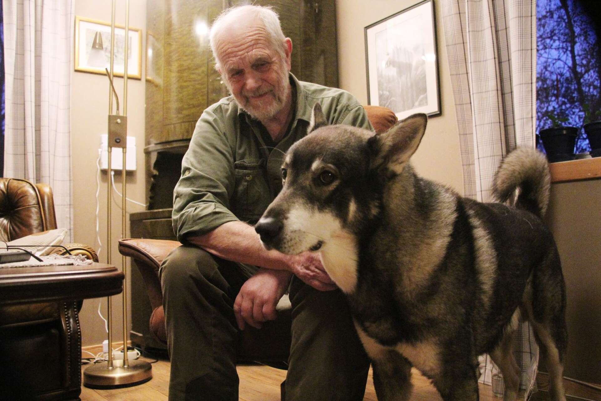 2017 träffade Dalslänningen Göte Johansson och hans hund Järven, som har överlevt flera vargangrepp.