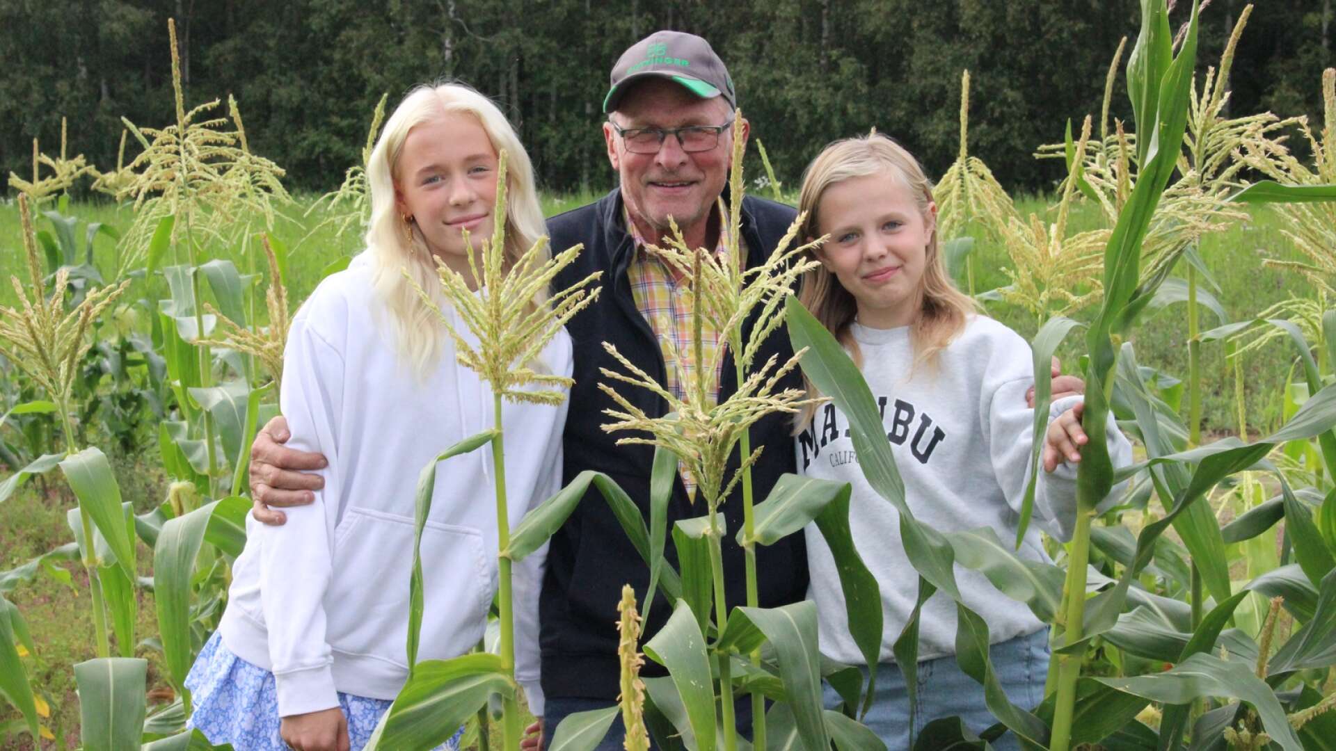För 40 år sedan fick farfar Göte Abelsson ett ryck och sådde ett fält med sockermajs, men det blev bara en gång. Nu har barnbarnen Tilda, snart 15, och Livia, 11, tagit upp tråden igen.
