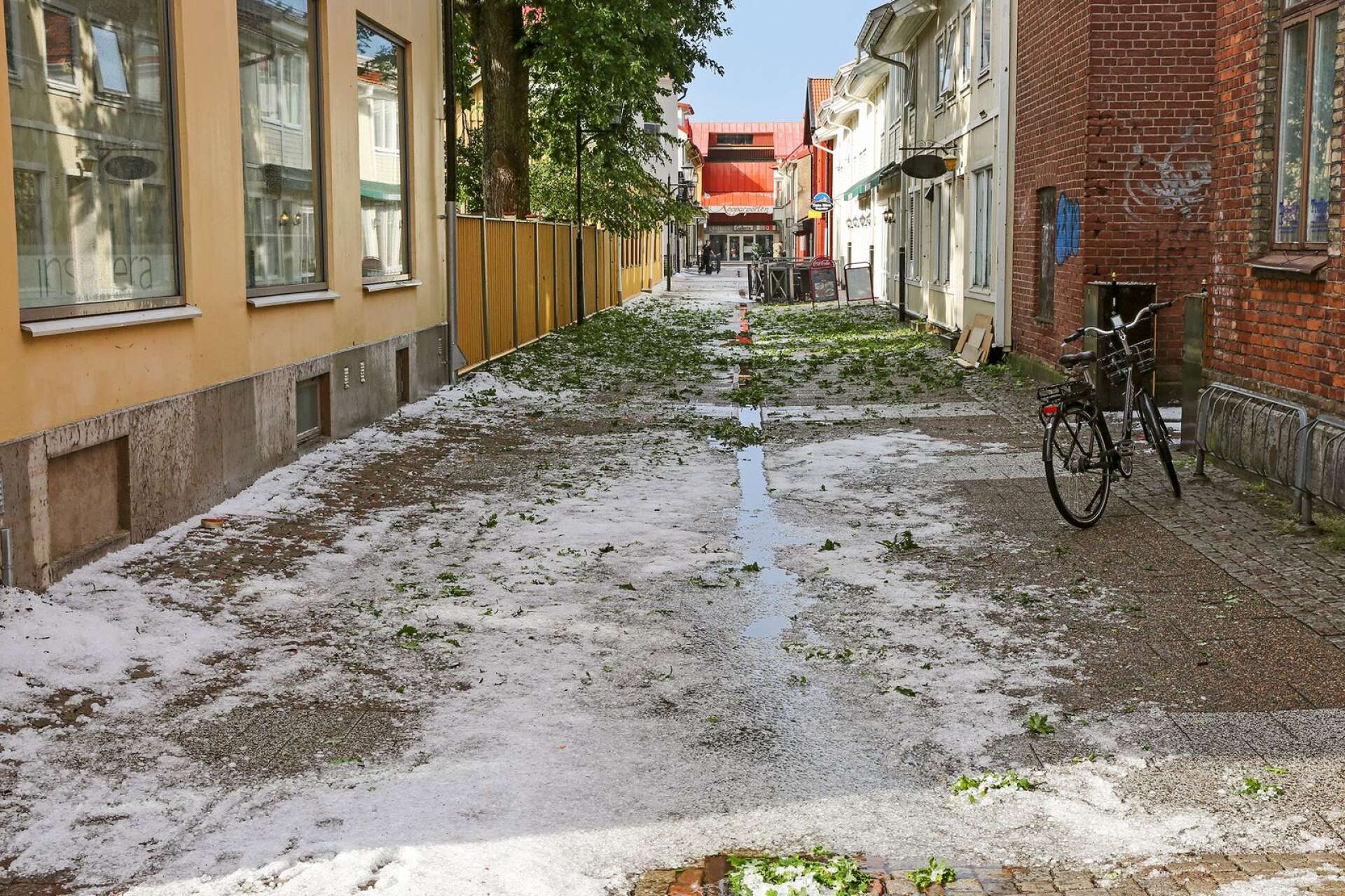 Hagelstormen rev ner mängder av löv på Lidköpings gator.