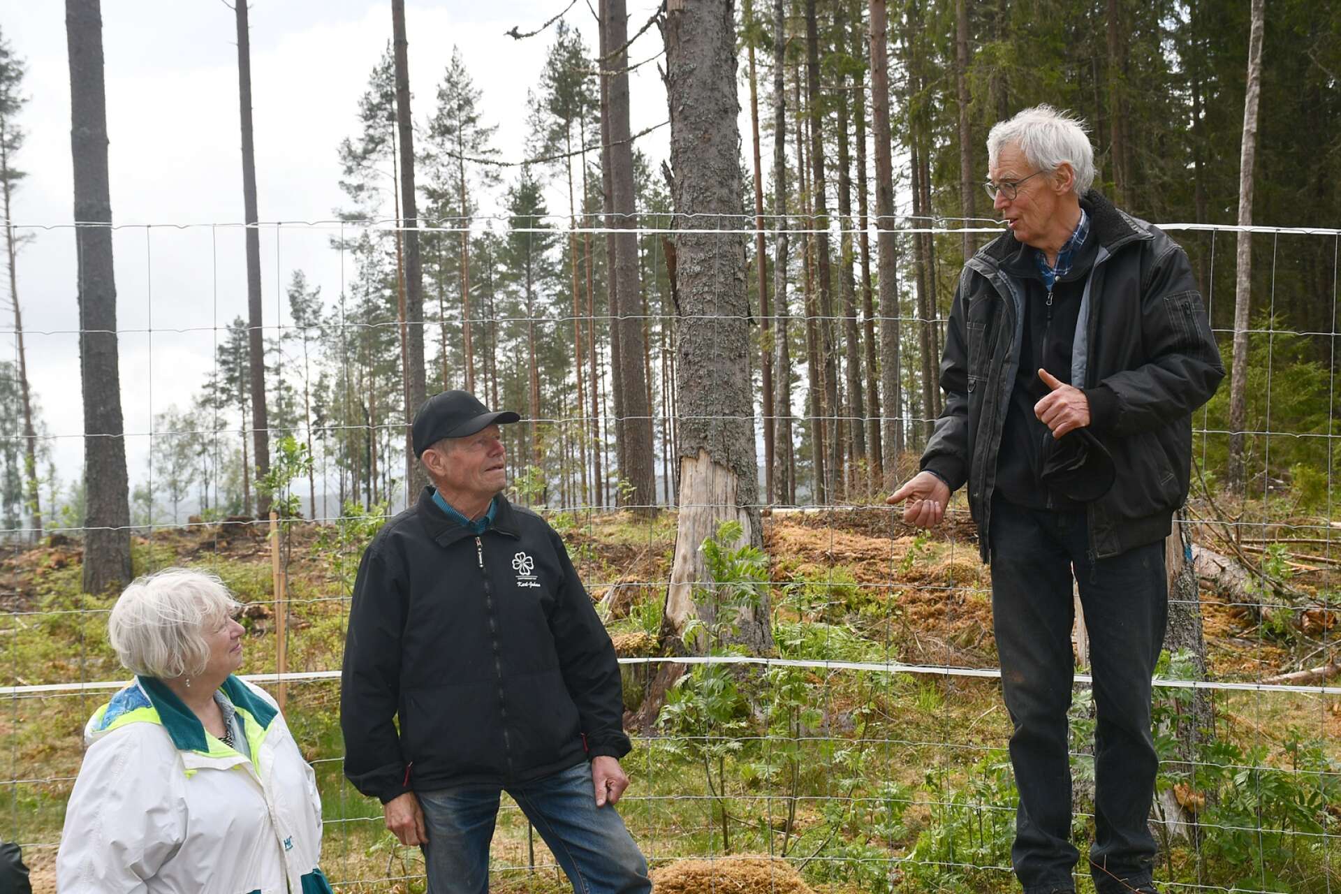 Trädkännaren Per Sundqvist (på stubben) berättade om de planterade trädarterna vid invigningen.