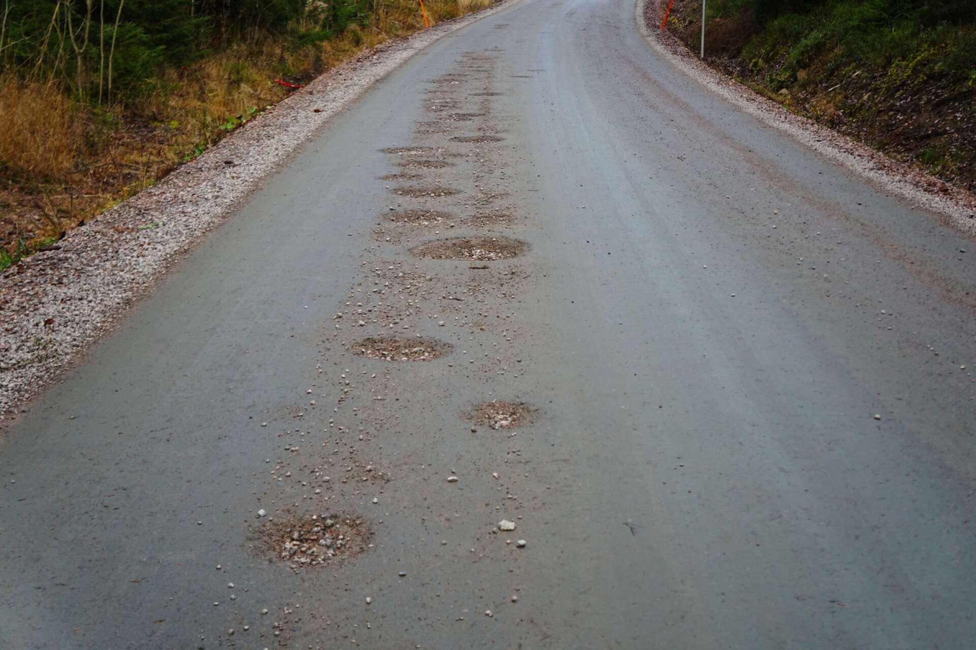 Grusvägen som björneborgarna tvingas ta har flera hål.