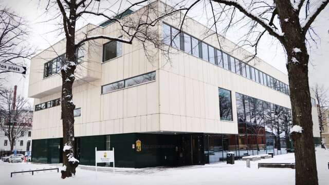 En snöbollskastare gick till attack med slag och knä. Nu har Lidköpingsbon dömts för misshandel.