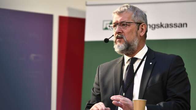 Försäkringskassans generaldirektör Nils Öberg under presskonferens om utbetalningen av elstöd