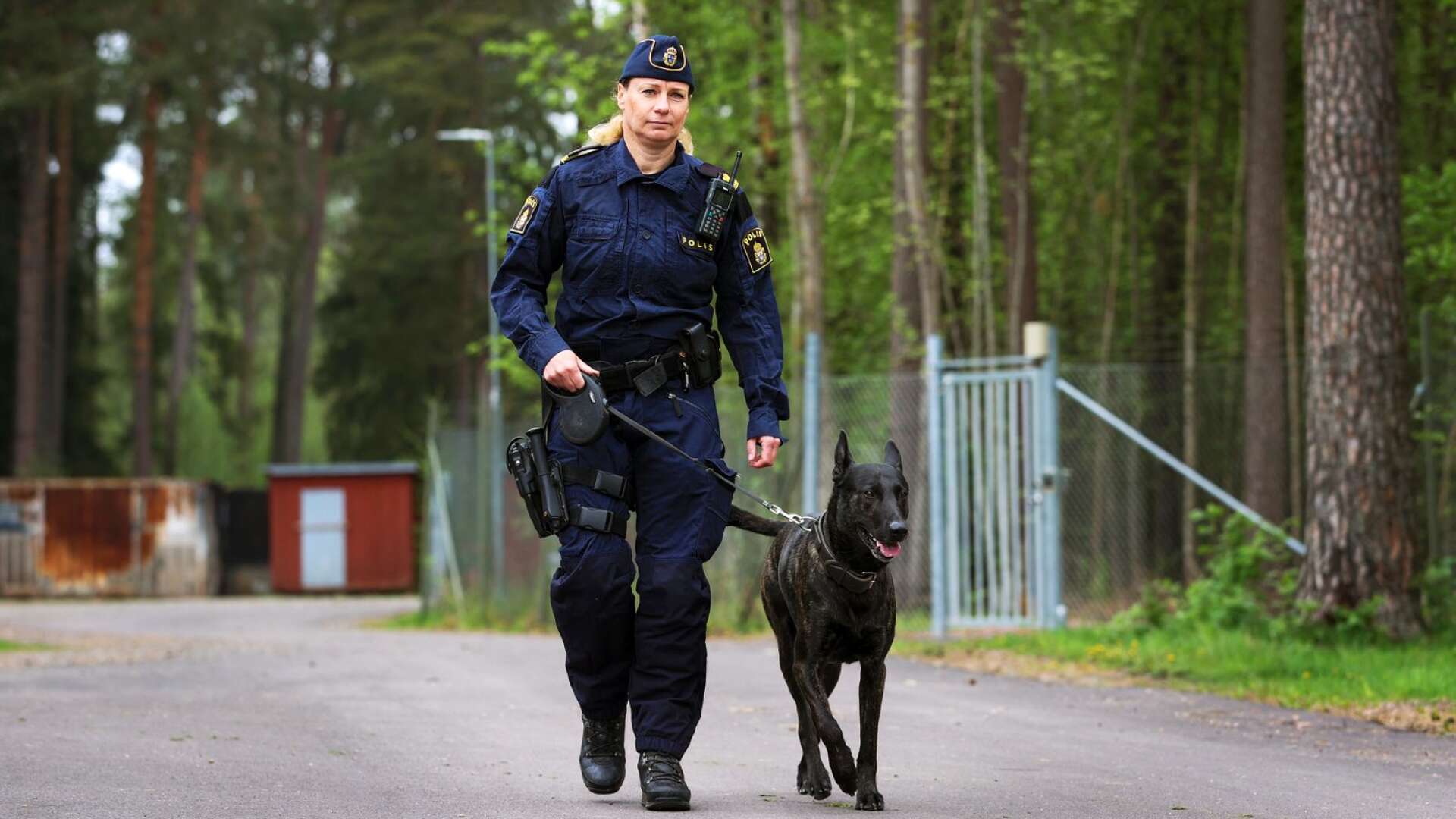 Max är den första sedelhunden i Värmland och polisen Anna har haft honom sedan han var valp.