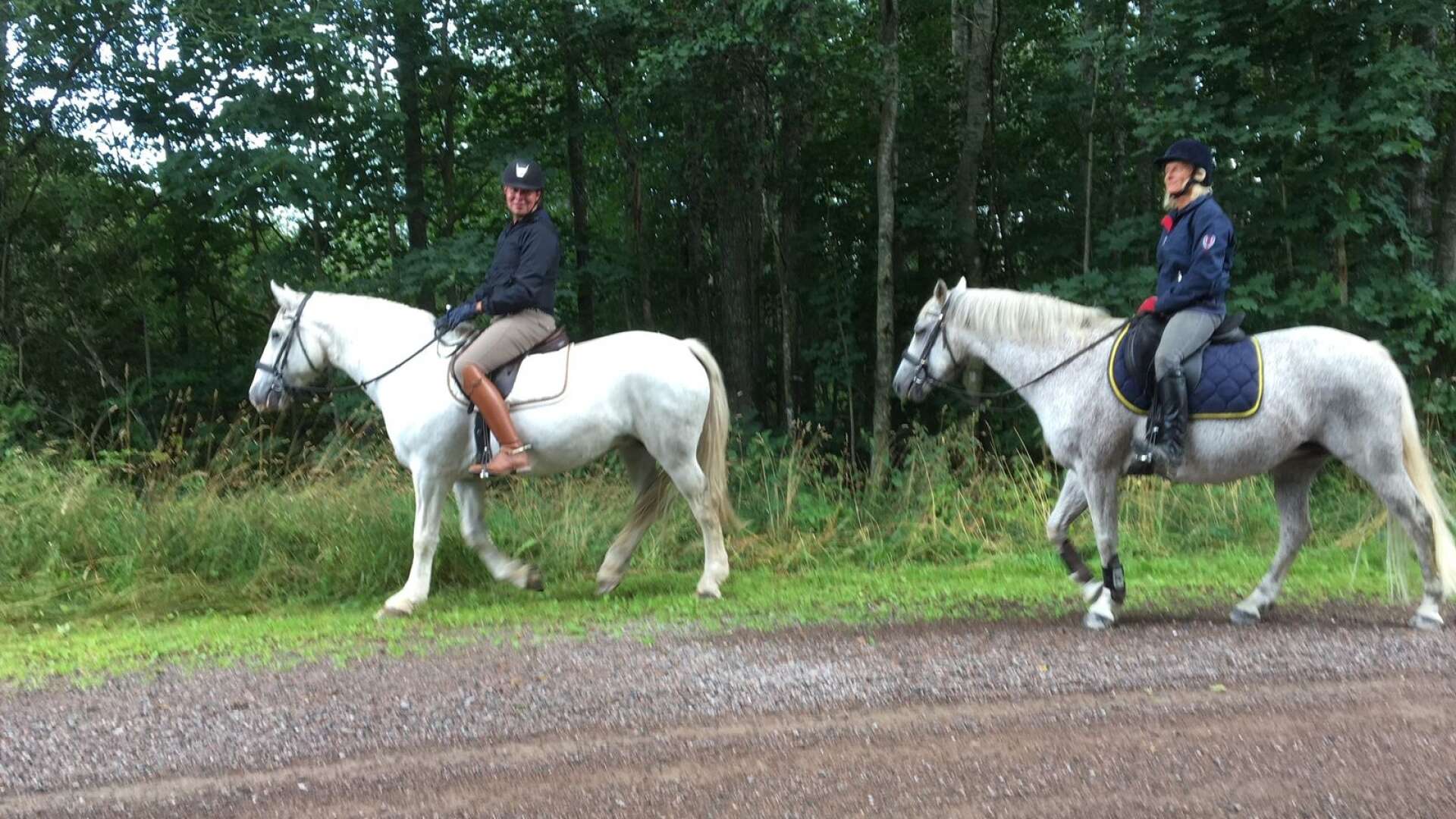 Charles Jonsson, till vänster, och Maria Dahlbäck på Åmåls ridklubbs hästar Maggie och Disa spanar längs vägkanterna i Finserud i hopp om att hitta passen.
