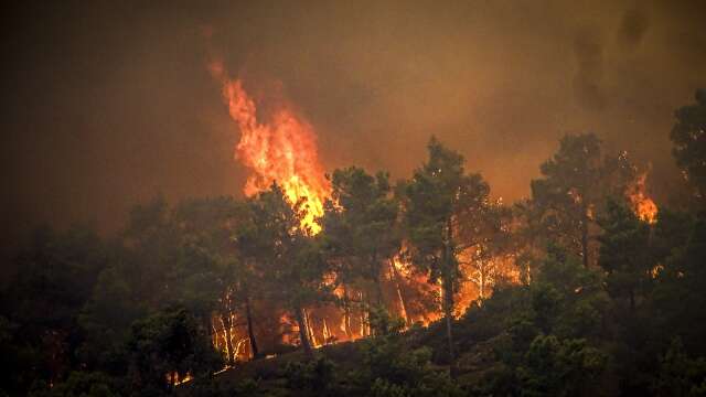 I helgen tog skogsbränderna fart på Rhodos. Mängder av människor har tvingats evakueras.