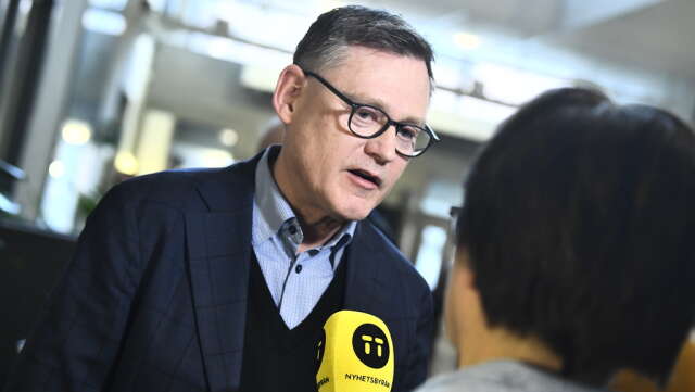 Skolverkets generaldirektör Peter Fredriksson vid en presskonferens förra veckan.