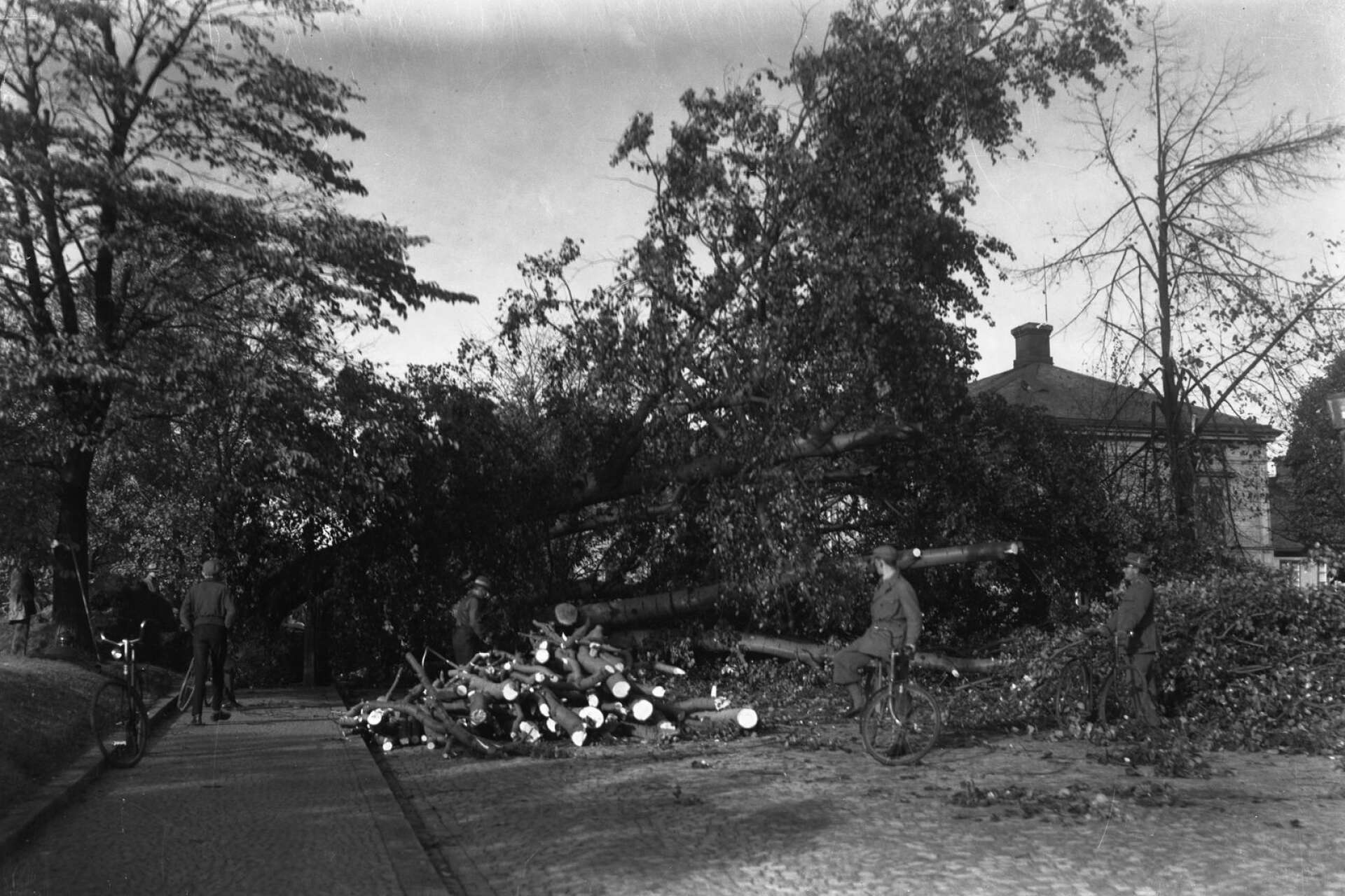 Det blev trafiksvårigheter i korsningen Hamngatan–Östra Torggatan då träd som stormen dragit med sig låg i vägen. 