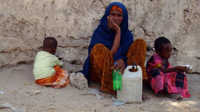 Klimatalliansen skriver att det måste till ny politik för att undvika global hungerskris.