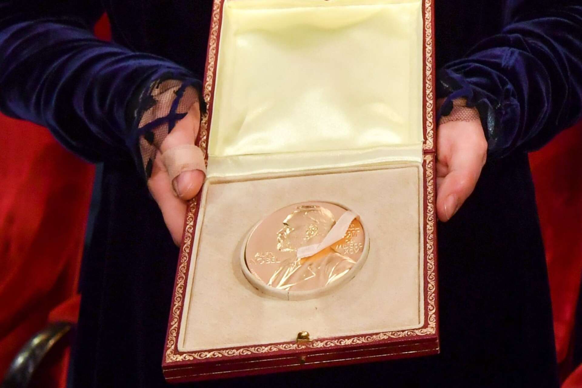 Vem får äran i år? Torsdag 8 oktober klockan 13 avslöjas vem som ska få årets Nobelpris i litteratur.