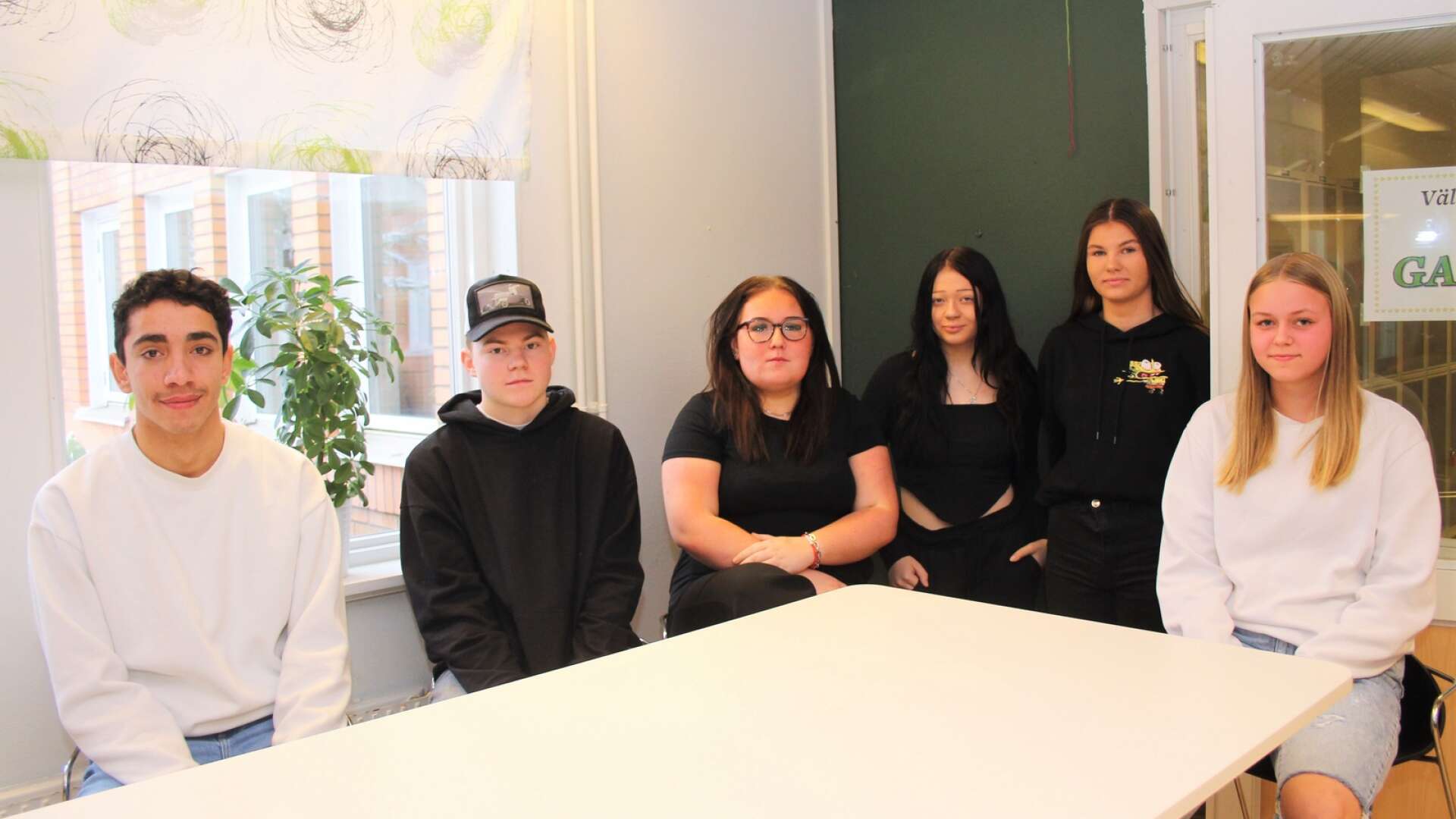 Shawqy Dalo, Erik Åhl Jensen, Astrid Karlsson, Hailey Fredriksson, Emma Larsson och Tuva Johannesson är några av niorna på Kristinebergskolan som precis har gjort sina gymnasieval. 