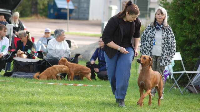 I lördags hölls en hundutställning på Säterivägen i Säffle.