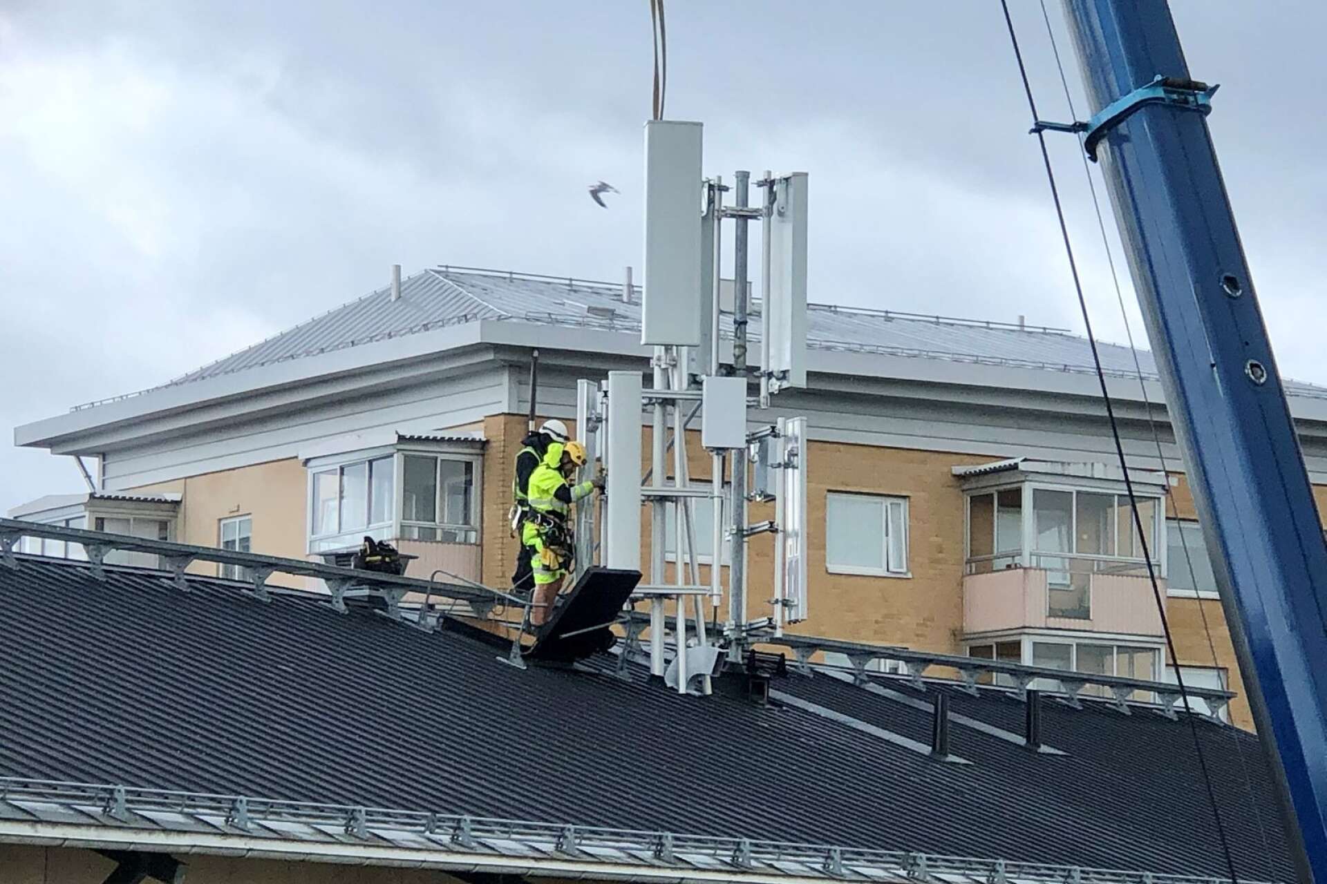 Telia anser inte att det finns några säkerhetsrisker med mobilantenner taken på flerfamiljshus. ”Vi besiktar antenner och förstärker tak vid behov”, säger Martin Persson, chef för mobila infrastrukturen i Sverige på Telia.