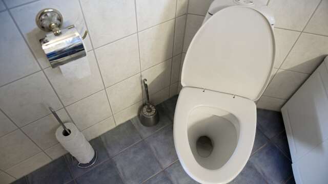 Endast ungefär hälften av världens befolkning har toalett.