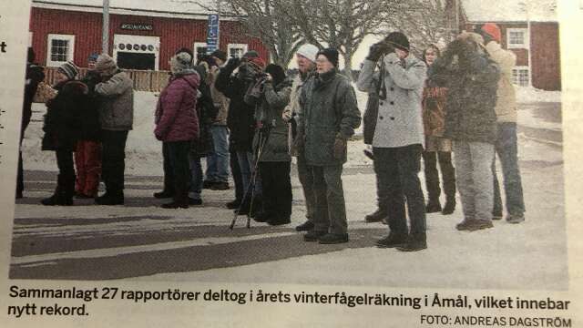 27 personer räknade vinterfåglarna i Åmål för tio år sedan och talgoxen var fortfarande herre på täppan.