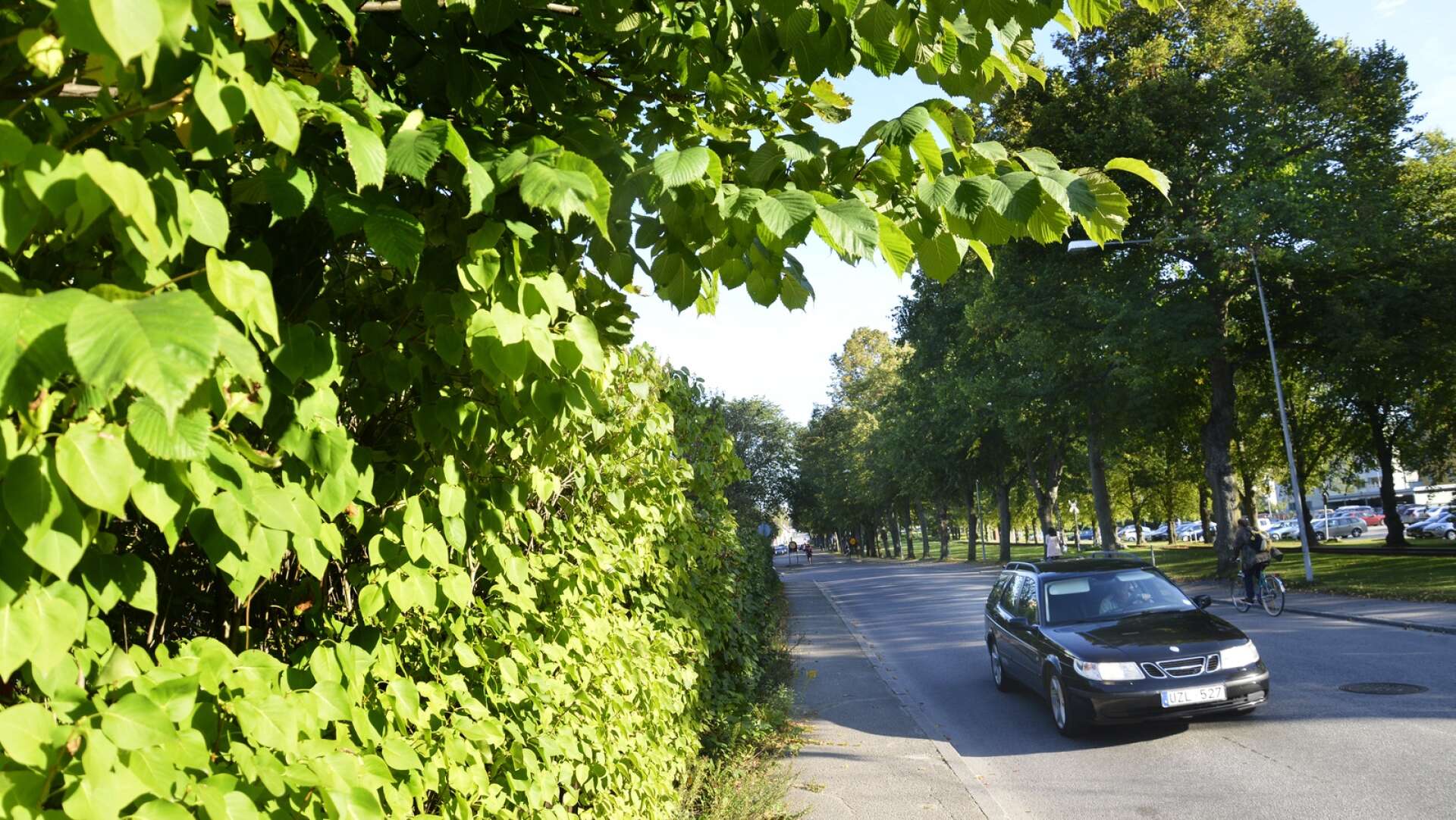 En medborgare vill anlägga en ny gång- och cykelväg i grönområdet vid Östra Järnvägsgatan