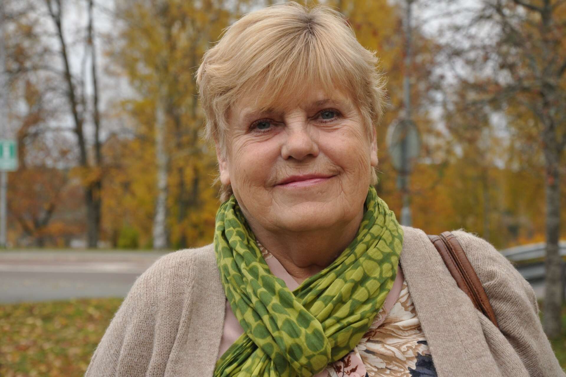 Christina Lundqvist (S) från Dals Långed blir ordförande för norra patientnämnden.