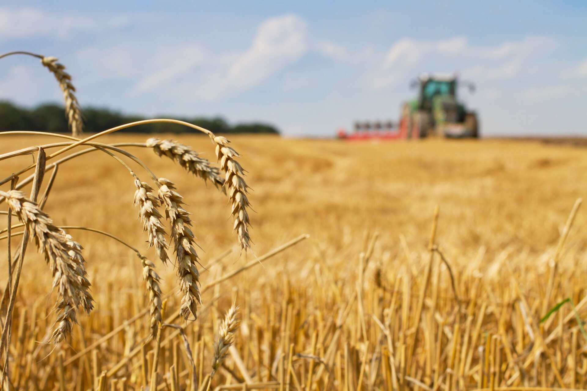 Rapporten Lantbrukets Lönsamhet visar att lönsamheten i lantbruket har sjunkit drastiskt under 2023.