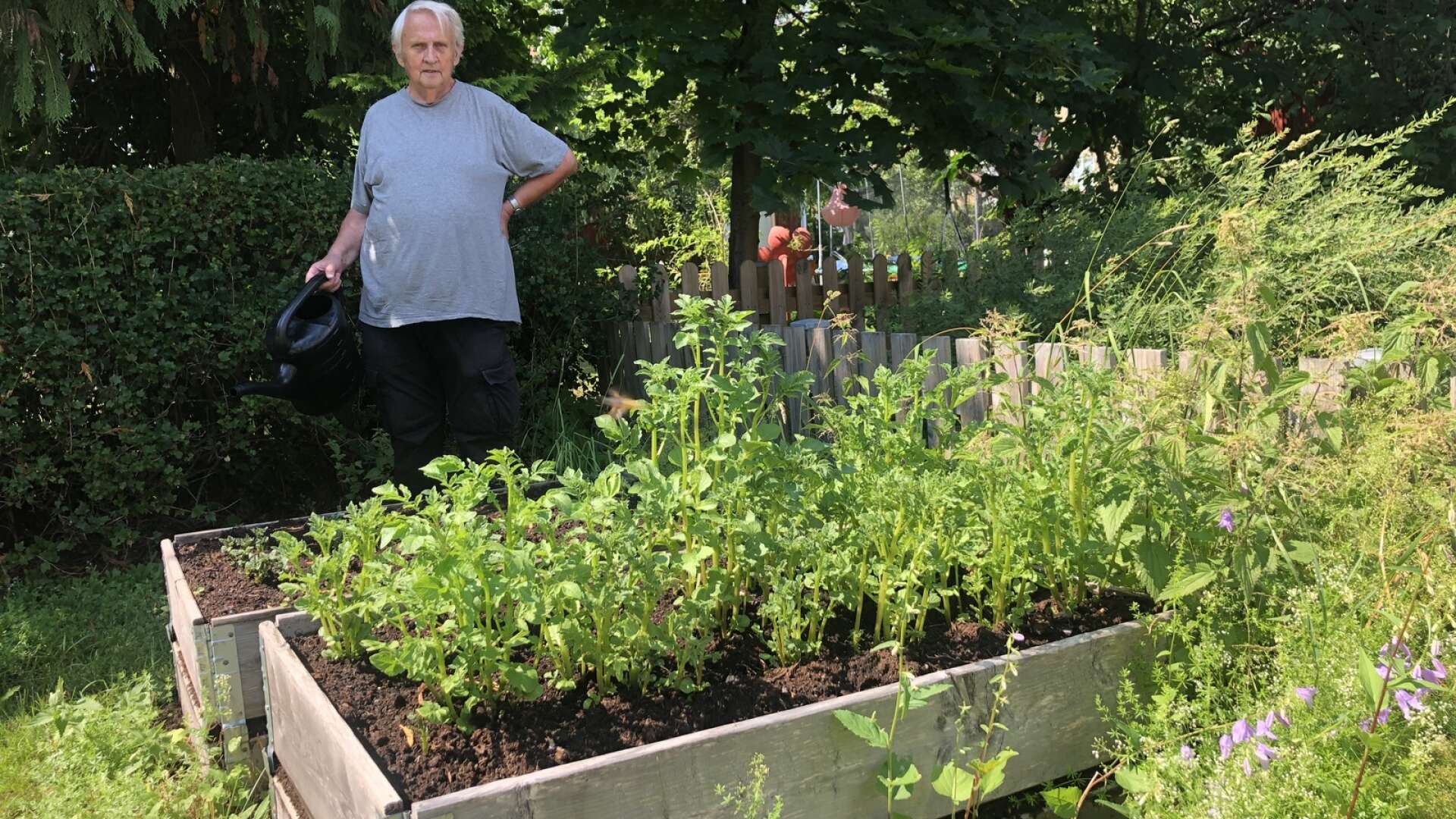 Nu är det dags att vårrusta trädgården. Arvika Nyheters frilansreporter Bertil Bäck, som är trädgårdsentusiast, ger tips och råd inför trädgårdssäsongen.