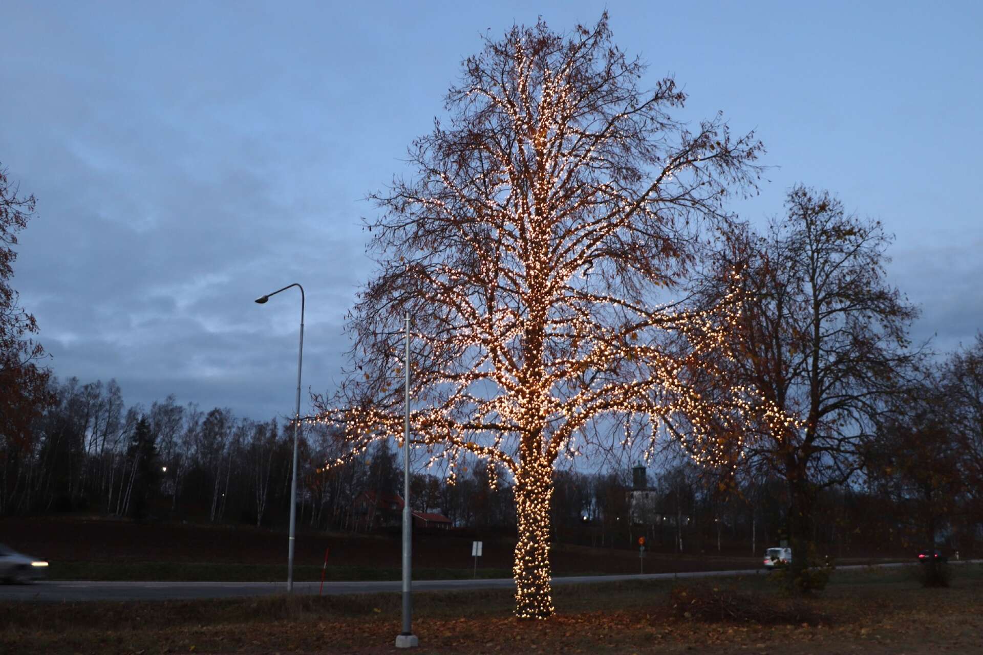 En nyhet inför julen är belysta träd som tänds i ytterområdena. I Igelstorp står ett av träden som redan har tänts upp och som lyser vackert i mörkret.