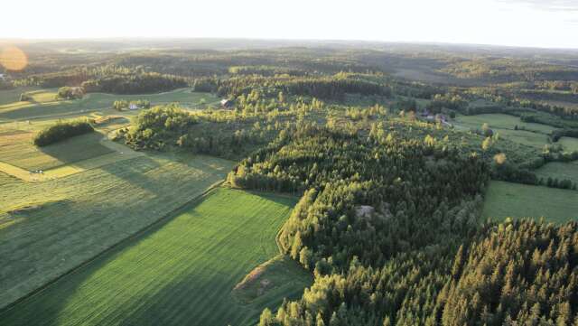 Granbarkborren har angripit cirka 2,5 miljoner kubikmeter skog i södra Sverige. Bilden är tagen i ett annat sammanhang.