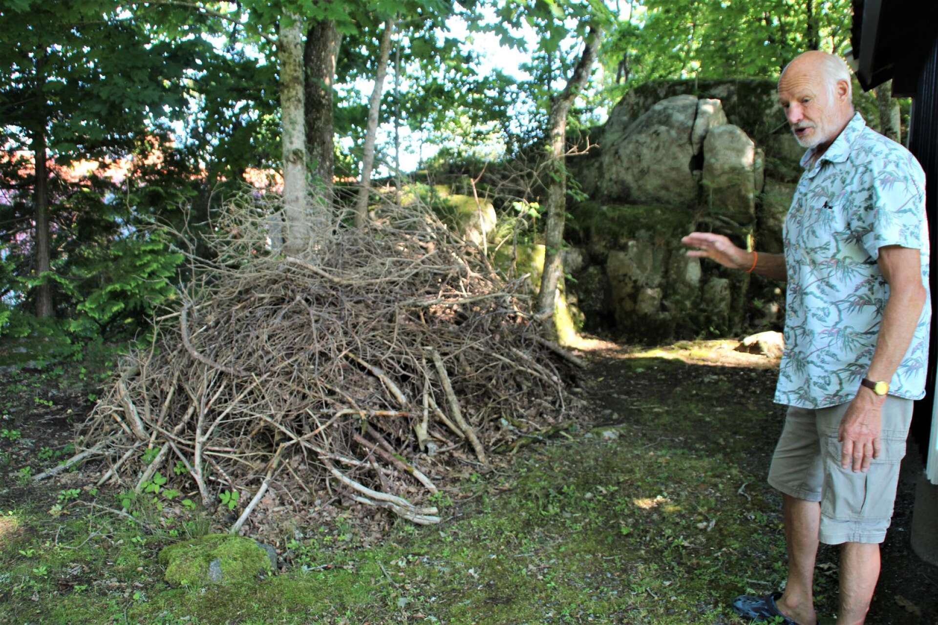 Rishögar är finfina bon för igelkotten. Leif Sjöberg visar sin specialbyggda rishög.