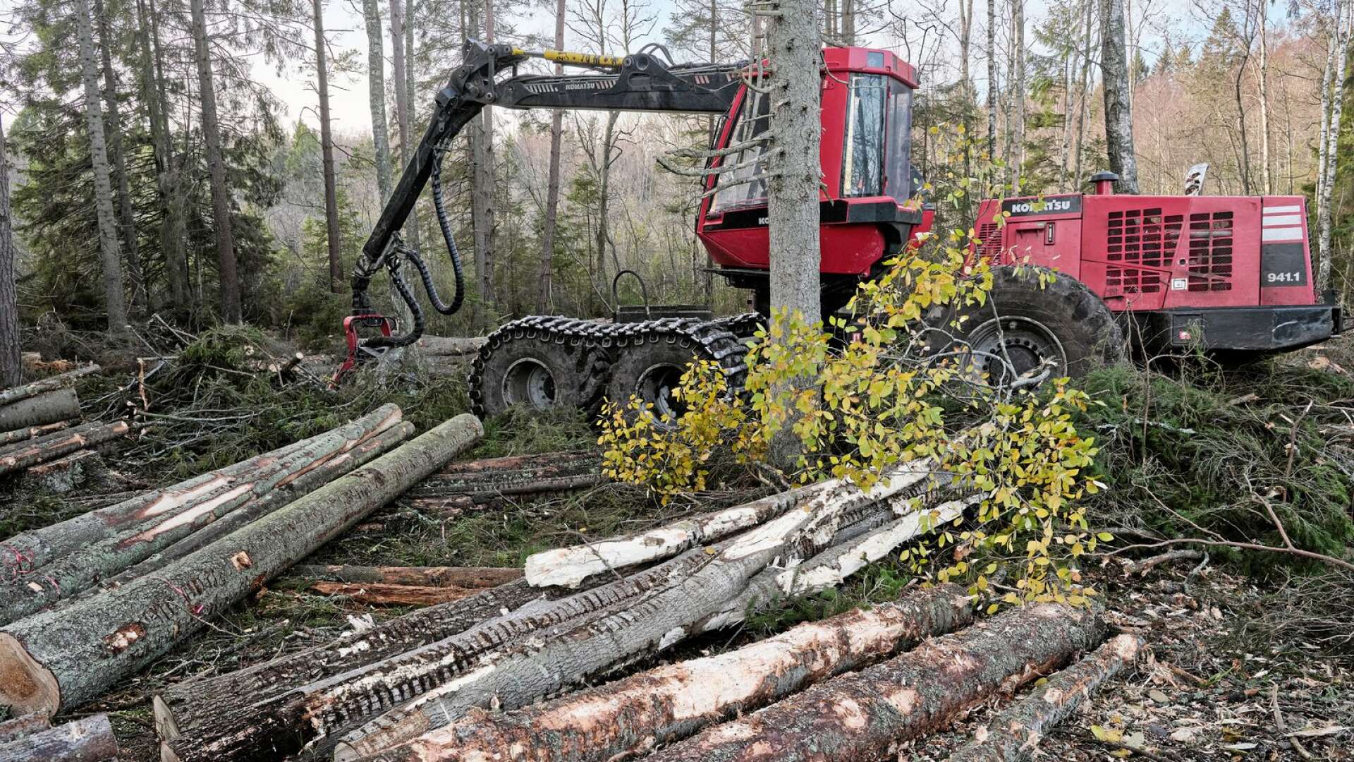 Vi entreprenörer, som med våra småföretag sköter skogarna åt landets skogsägare och industrier, tillhör redan en bransch med mycket små marginaler, skriver Peter Lundquist.
