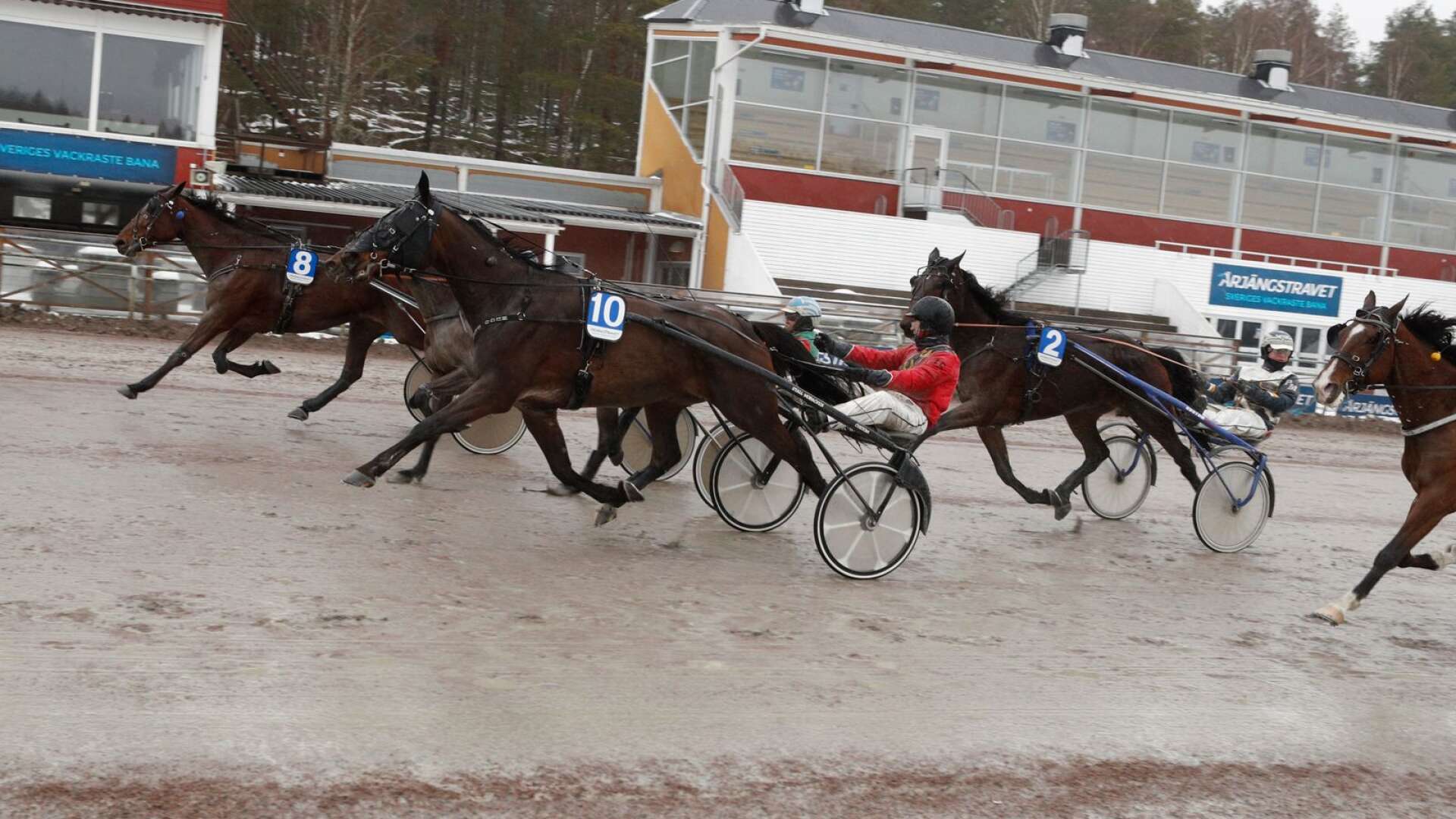 Längst ut i banan, med nummer åtta, spurtade Quite a Charm till vinst i V4-1 vid Årjängs årspremiär.