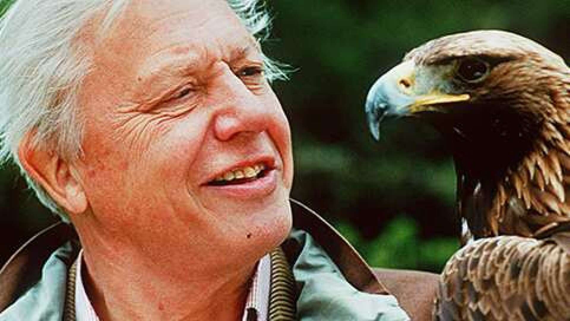 Biologiämnet saknas i ”Nobelprisfamiljen” och den saken behöver ändras omgående. Innan både Nobelstiftelsen och Sverige blir snuvade på möjligheten och att den 97-årige biologen Sir David Attenborough inte längre lever, skriver insändarskribenten.