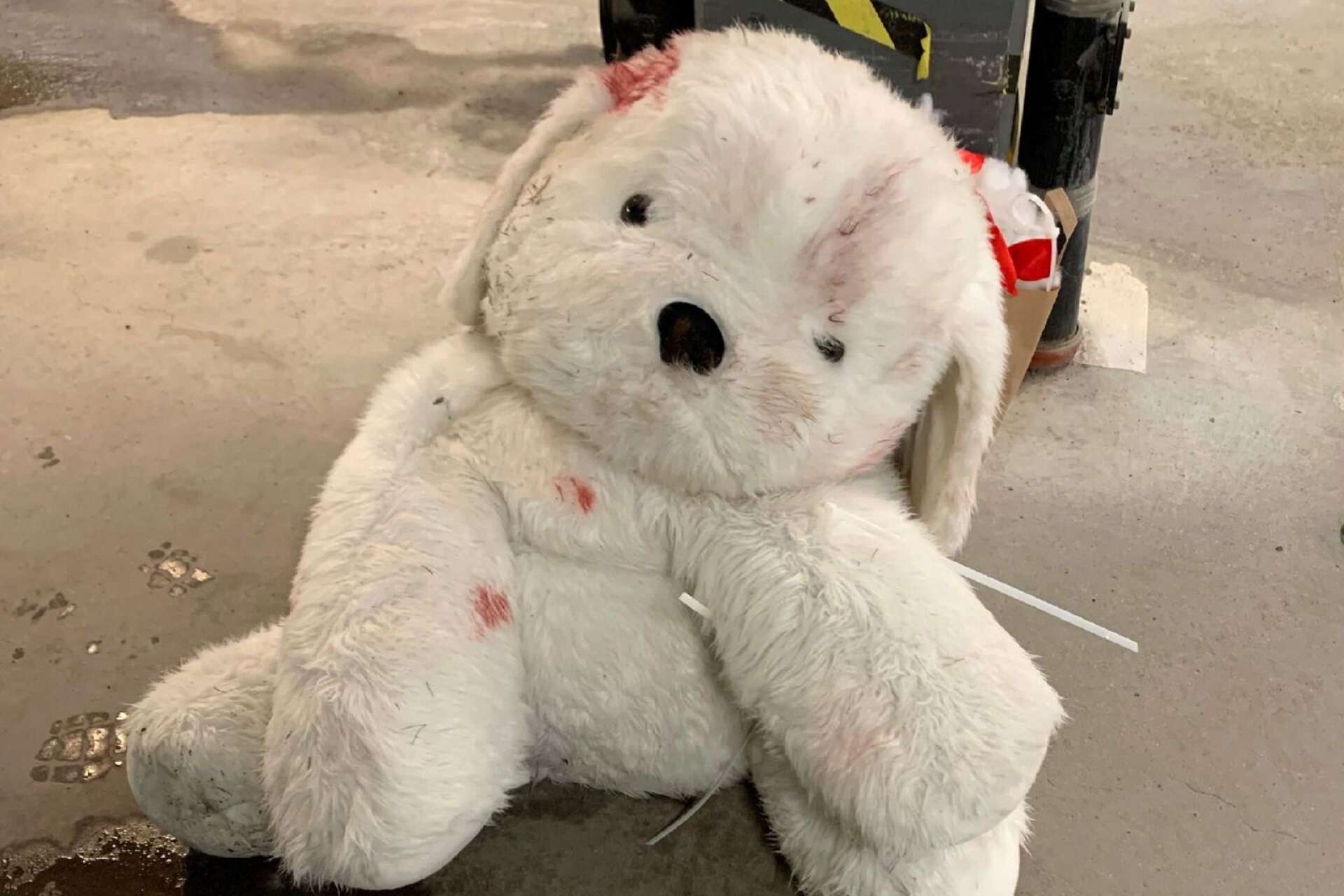 Mjukisdjuret omhändertogs av polisen efter det märkliga äventyret. Leksaken tillhör en ridskola och var värt närmare tusen kronor.
