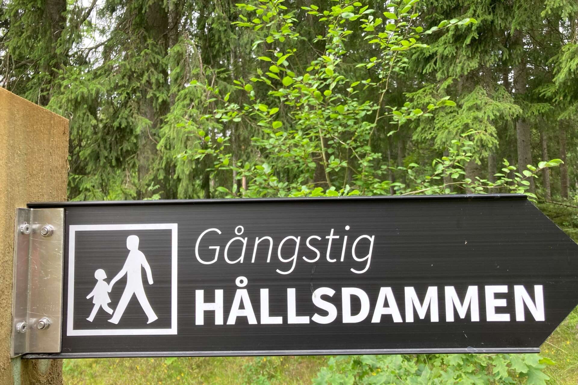 Signaturen ”Promenadgänget” vill att det ska vara cykelfritt runt Hållsdammen och Åsbotorpsjön.