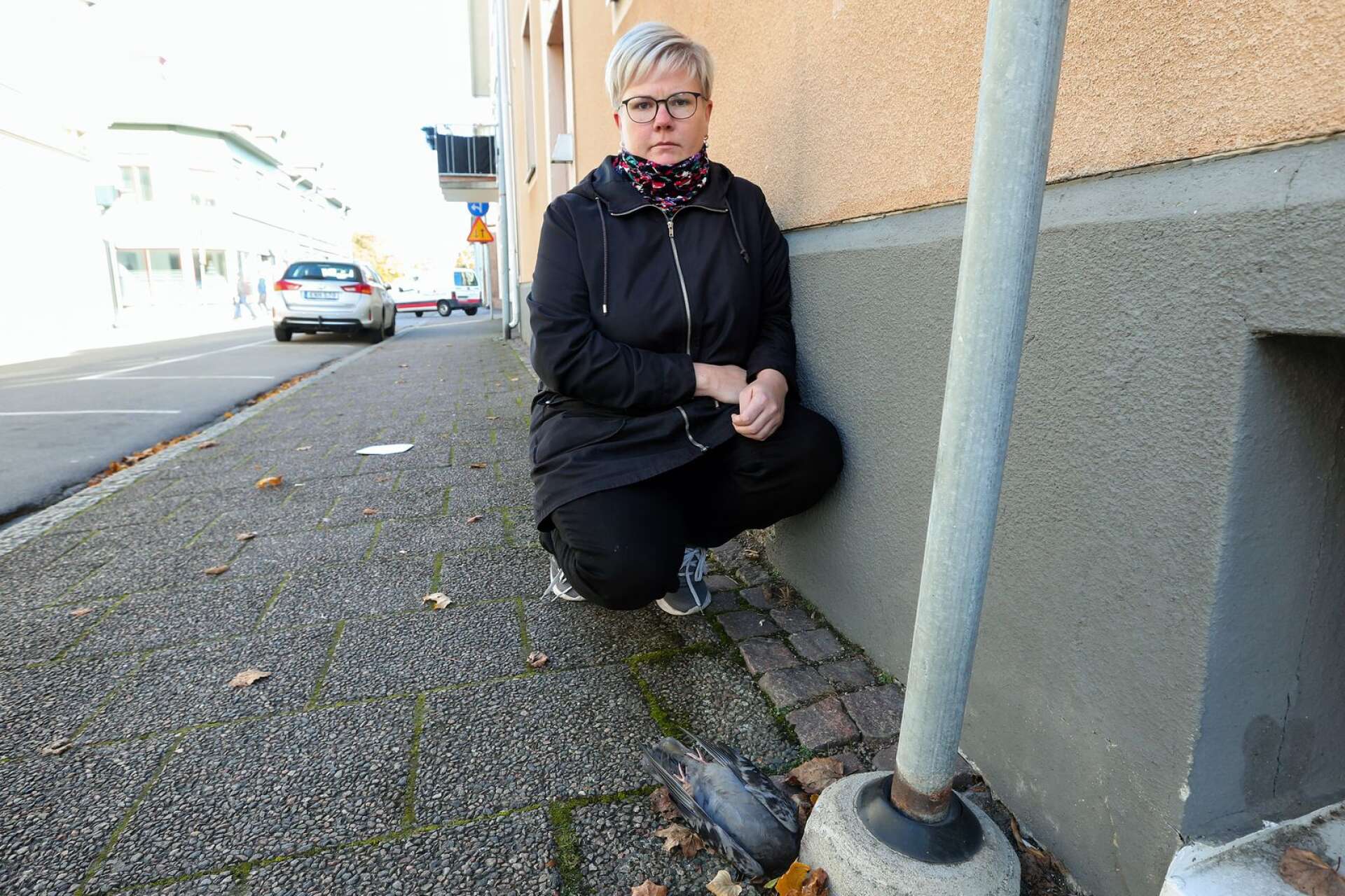 Sarah Hedvall  är en av många som har uppmärksammat döda duvor i centrala Lidköping. 