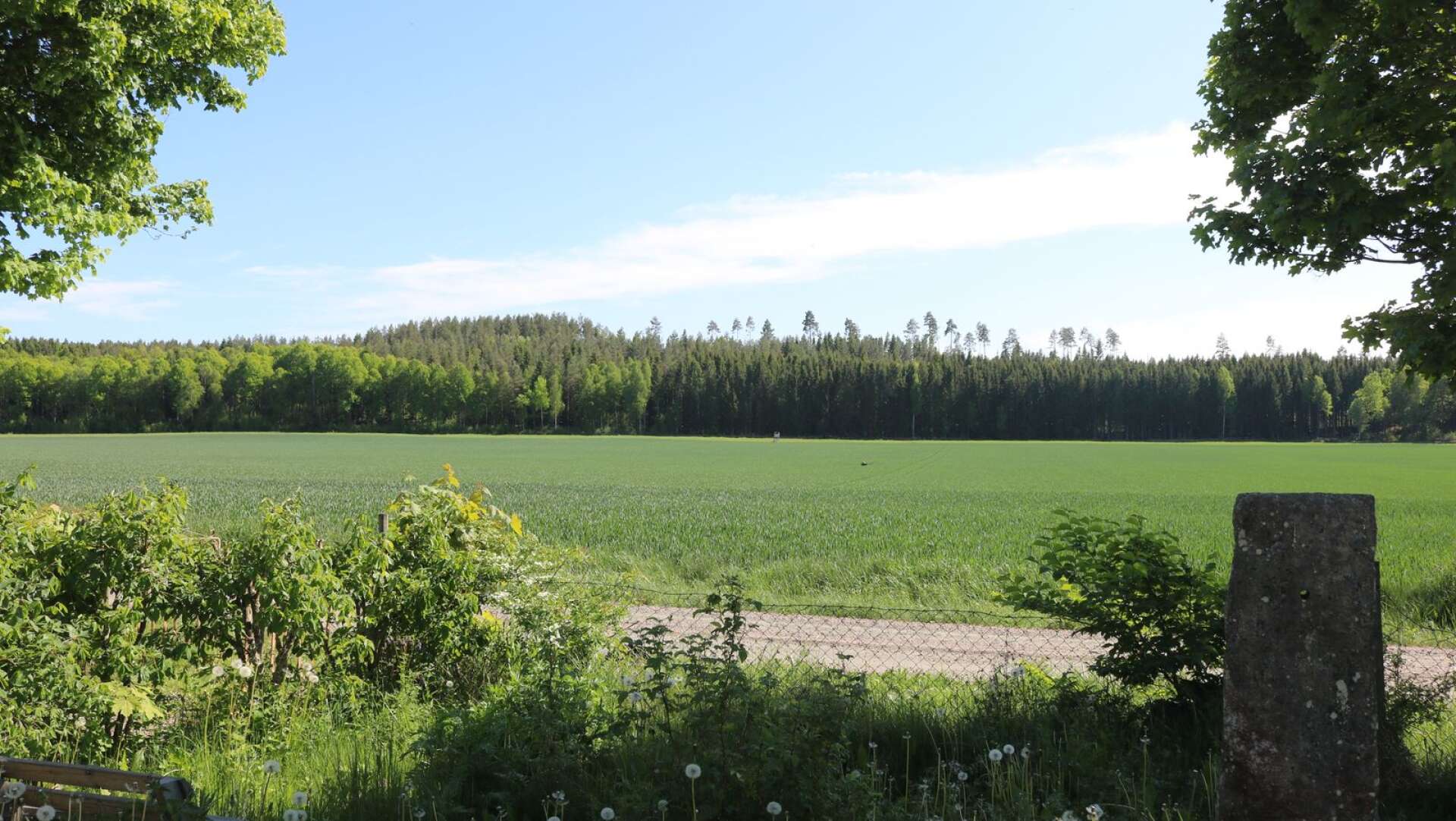 Här, precis utanför Lekåsa på gränsen mellan Essunga och Vårgårda kommun, planeras en bergtäkt. 