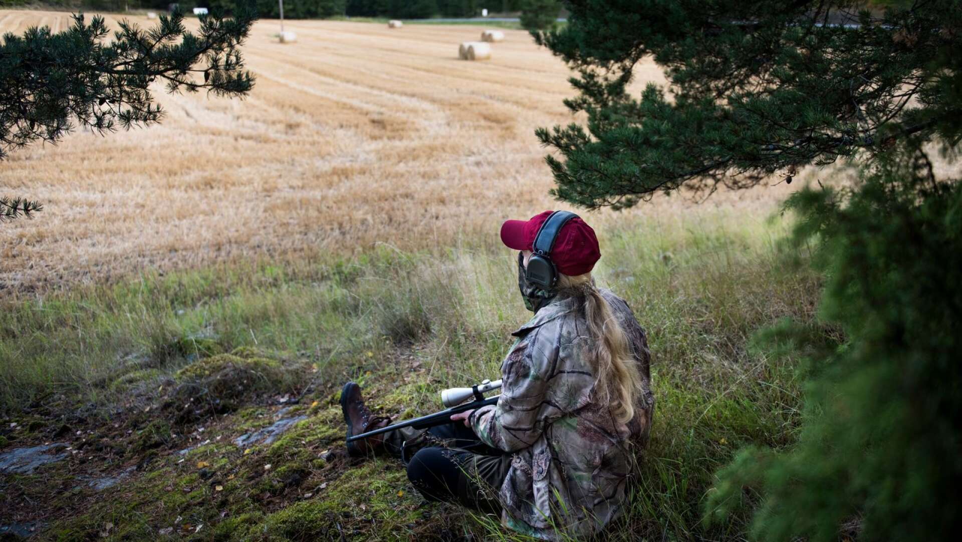 Sverige behöver en myndighet för jakt- och viltvårdsuppdraget anser författarna av inlägget.