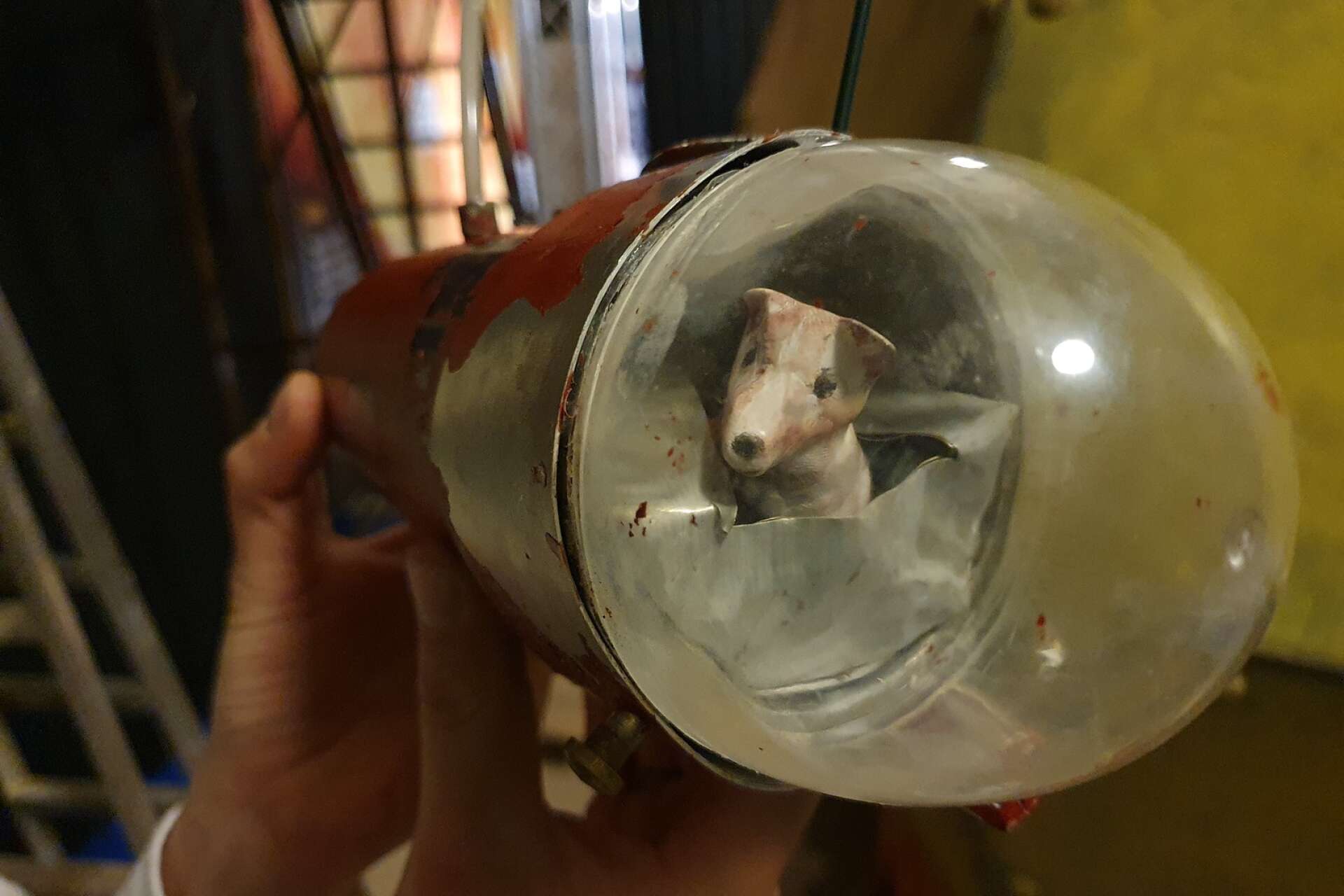 Hunden Laika skickades ut i rymden men kom aldrig tillbaka...